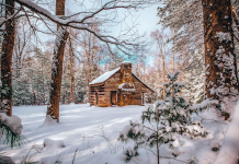 A Change of Scene in the Great Smoky Mountains