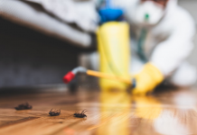 Best Pest-Control Brands for Commercial Businesses