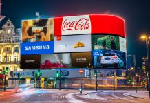 If your business has stopped advertising on Twitter, what alternatives could you consider?