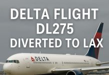 Delta Flight DL275 Diverted LAX – What Really Happened? Delta Flight DL275 Diverted LAX